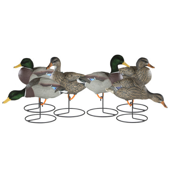 Dakota Xtreme Full Body Mallard Decoys - Canadian Waterfowl Supplies