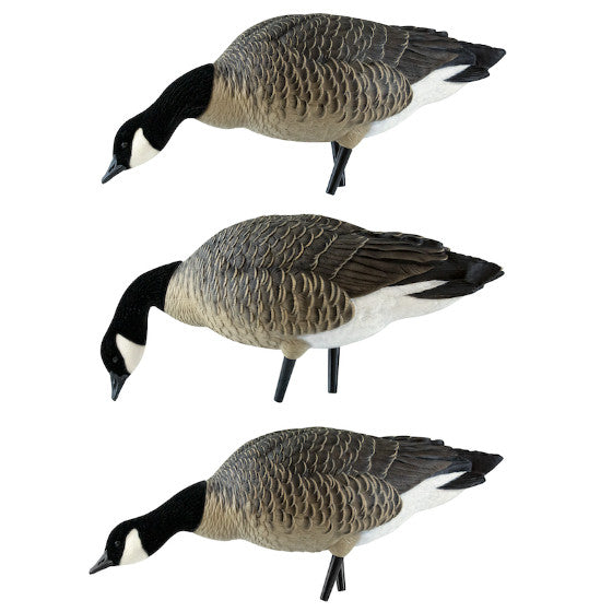 Avian-X Outfitter Lesser Canada Goose Pack