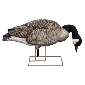 Short Neck Feeder
