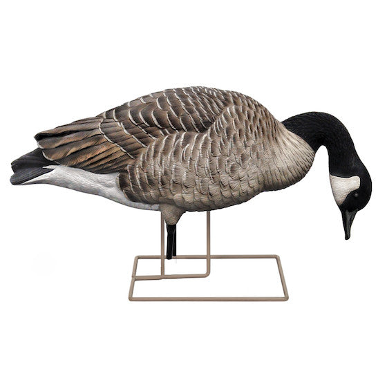 Short Neck Feeder