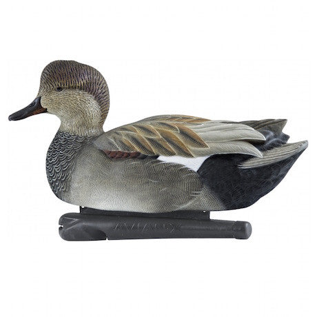 Avian-X Topflight Gadwalls