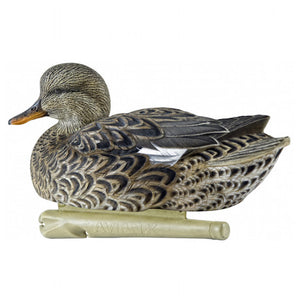 Avian-X Topflight Gadwall Decoys