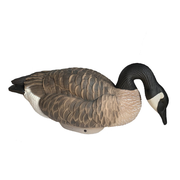 Heyday Lifetime Hydrofoam Canada Goose Decoys Canadian Waterfowl Supplies