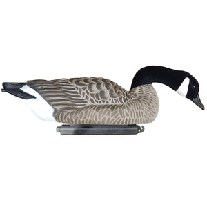 Dakota Xtreme Lesser Searcher