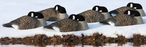 Higdon Standard Canada Goose Shell Sleeper Decoys