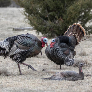 Dave Smith Decoys Strutter Jake White Faced
