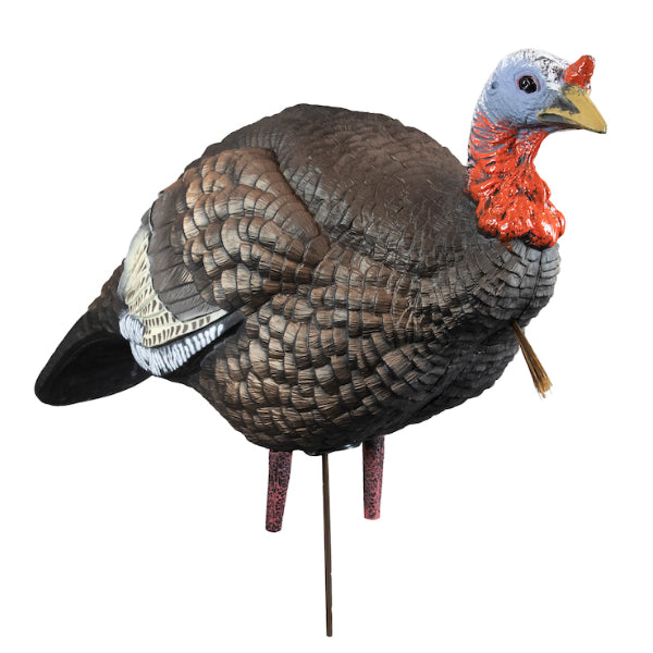 Higdon Outdoors 1/4 Strut Turkey Jake Decoy - Canadian
