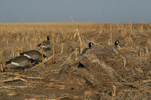 Avery Outdoors Killerweed Layout Blind Kit