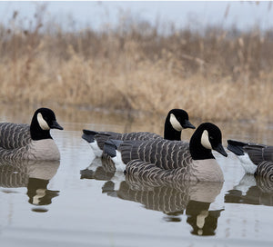 Avian-X Topflight Lesser Floating Goose Decoys