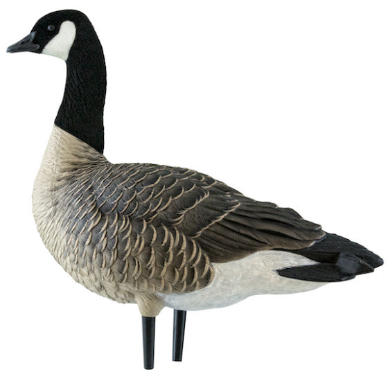 Avian-X Outfitter Lesser Canada Goose Pack