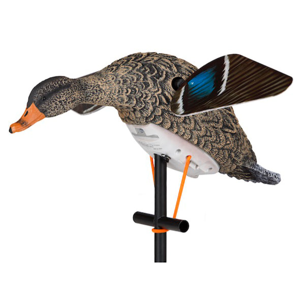 Lucky HD Mallard Hen Decoy