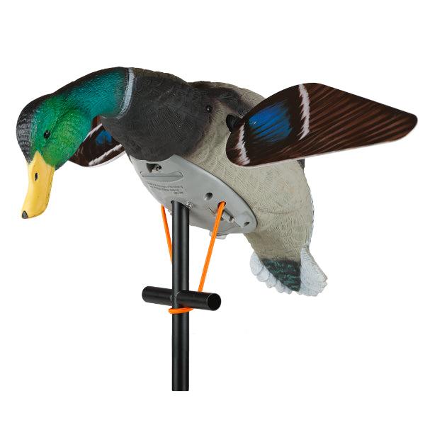 Lucky HD Mallard Drake Decoy