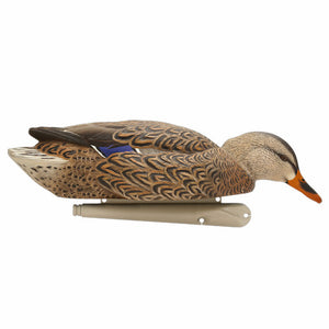 Avian-X Topflight Back Water Mallard Decoys