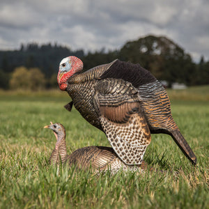 Dave Smith Decoys Mating Motion Pair