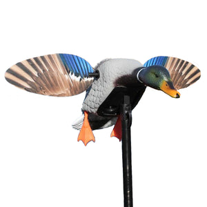 Mojo Elite Series Mini Mallard Drake Decoy