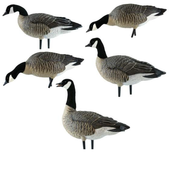 Avian-X AXP Outfitter Lesser Canada Goose Pack