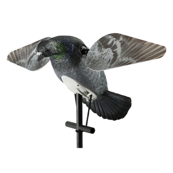 Lucky HD Pigeon Decoy