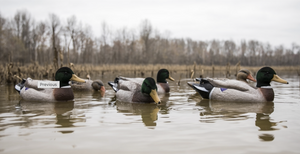 Higdon Battleship Mallard Decoys Foam Filled