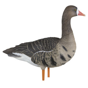 Avian X Fusion Specklebelly Decoys