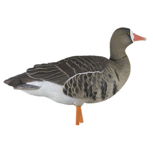 Avian-X AXP Specklebelly Goose Decoys