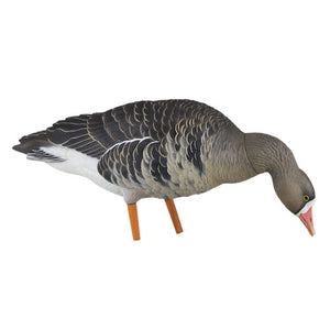 Avian-X AXP Specklebelly Goose Decoys