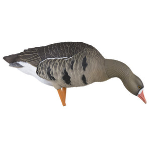 Avian-X AXP Specklebelly Goose Decoys