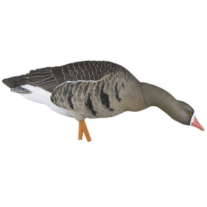 Avian-X AXP Specklebelly Goose Decoys