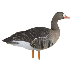 Avian-X AXP Specklebelly Goose Decoys