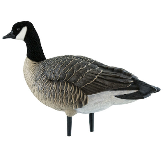 Avian-X Outfitter Lesser Canada Goose Pack