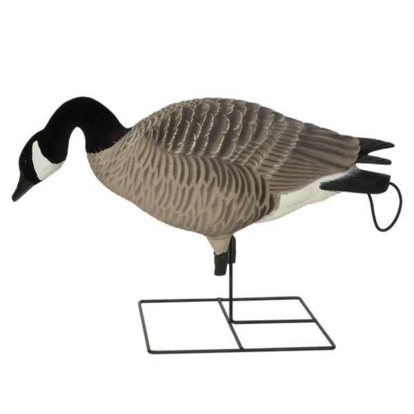 Greenhead Gear XD Series Canada Goose Decoys - 4 Feeder Pack