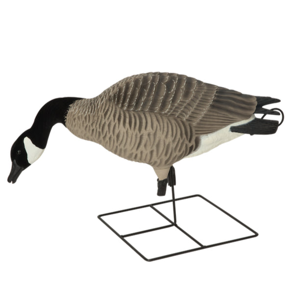 Greenhead Gear XD Series Canada Goose Decoys - 4 Feeder Pack