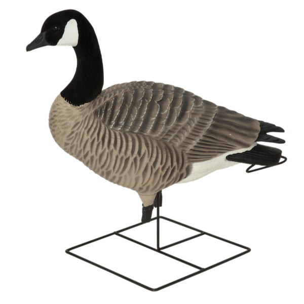 Greenhead Gear XD Series Canada Goose Decoys - Harvester 4 Pack