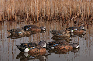 Avian-X Topflight Blue Wing Teal Decoys