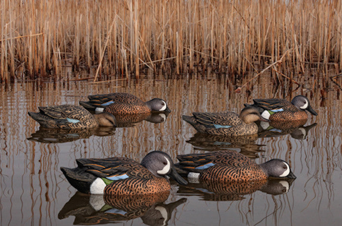 Avian-X Topflight Blue Wing Teal Decoys