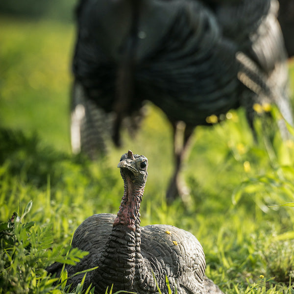 Dave Smith Decoys Mating Turkey Hen