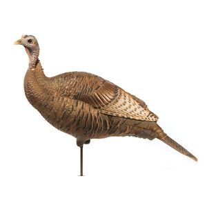 Dave Smith Decoys Upright Turkey Hen