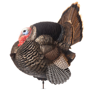 Dave Smith Decoys Strutter Jake