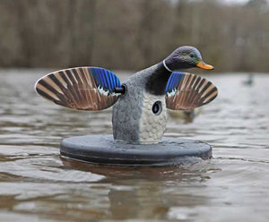 Mojo Elite Mallard Drake Floater Decoy