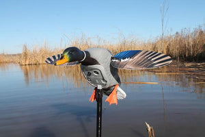 Mojo Elite Series Mini Mallard Drake Decoy