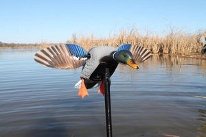 Mojo Elite Series Mini Mallard Drake Decoy
