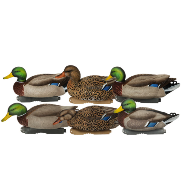 Greenhead Gear Pro-Grade XD Series Mallards - Harvest 6 Pack