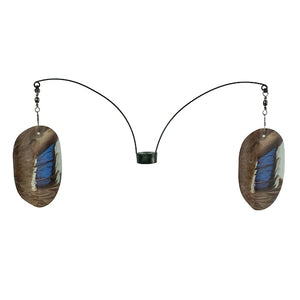 Tanglefree Flutterwings