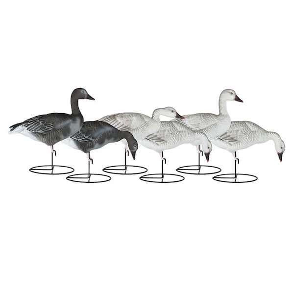 Dakota Decoy Migration Series Juvenile Pack