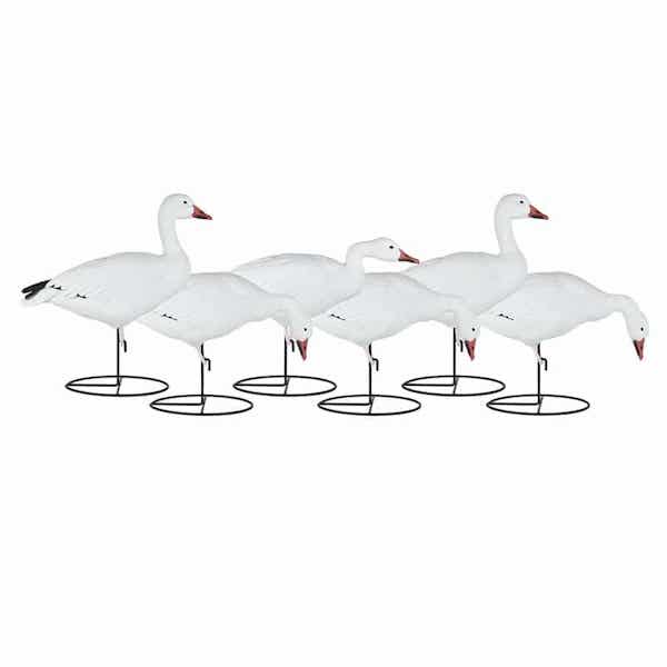 Dakota Decoy Migration Snow Goose Decoys