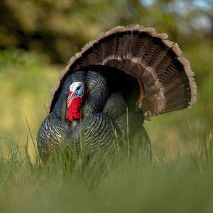Dave Smith Decoys Tom Strutter