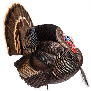 Dave Smith Decoys Tom Strutter