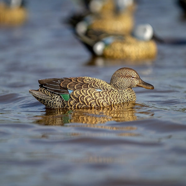 Heyday Lifetime Hydrofoam Blue Wing Teal Decoys Canadian Waterfowl