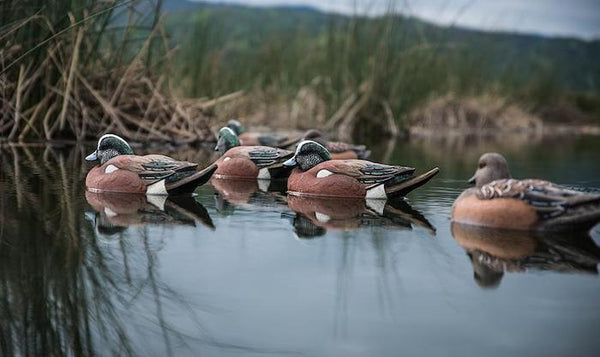 Tanglefree Flight Series Wigeon - Canadian Waterfowl Supplies